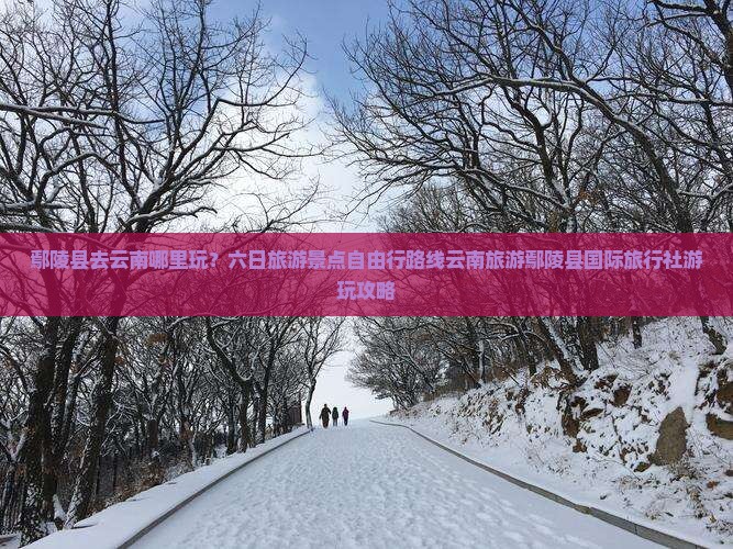 鄢陵县去云南哪里玩？六日旅游景点自由行路线云南旅游鄢陵县国际旅行社游玩攻略