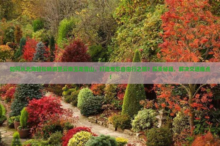 如何从北海轻松畅游至云南玉龙雪山，打造难忘自由行之旅？探索秘籍，解决交通痛点！
