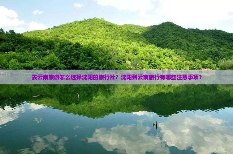 去云南旅游怎么选择沈阳的旅行社？沈阳到云南旅行有哪些注意事项？