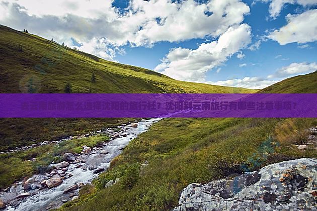去云南旅游怎么选择沈阳的旅行社？沈阳到云南旅行有哪些注意事项？