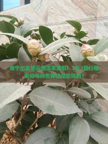 南宁出发至云南温泉度假：3天2晚行程安排与特色体验是怎样的？