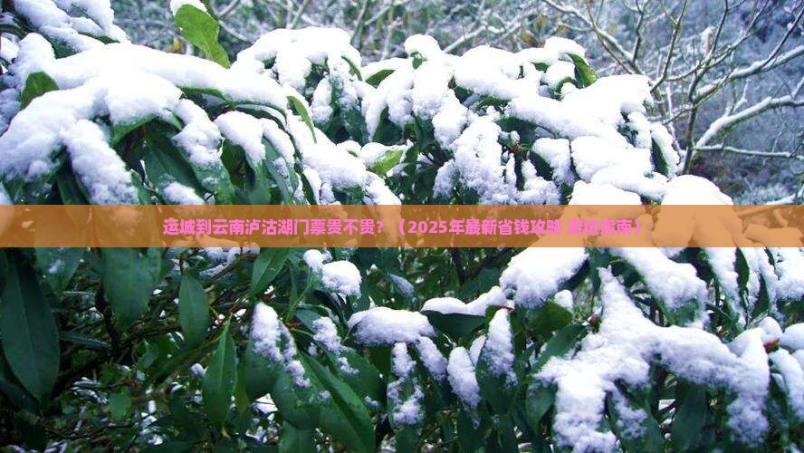 运城到云南泸沽湖门票