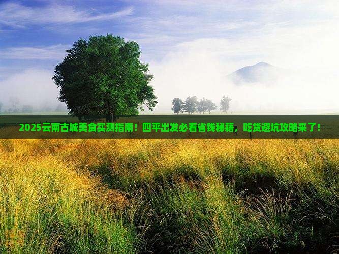 四平到云南古城旅游小吃