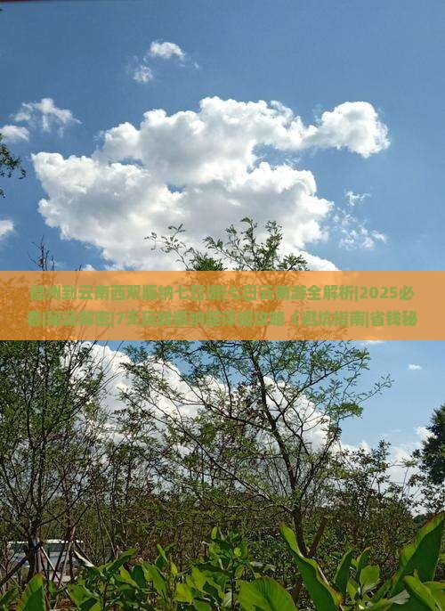 德州到云南西双版纳七日游