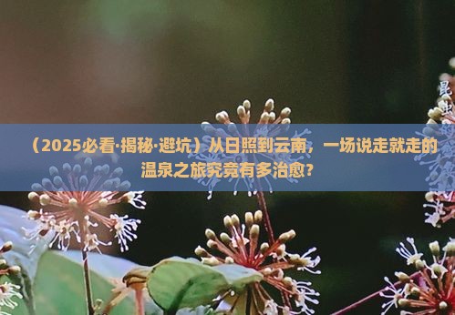 日照到云南温泉攻略