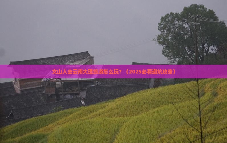 文山去云南大理个人游