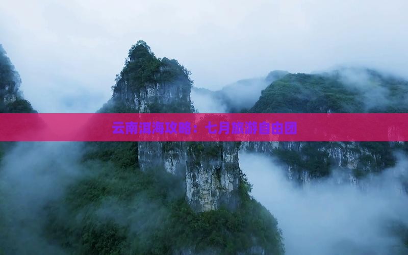 七月去云南洱海自由团