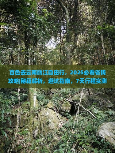 百色去云南丽江自由行