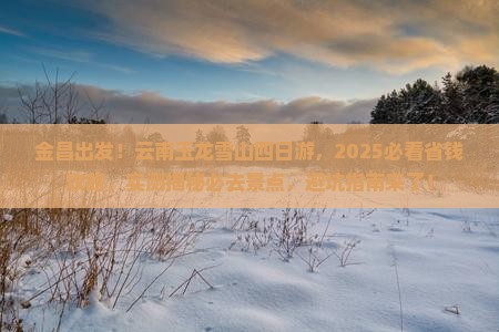 金昌到云南玉龙雪山四日游