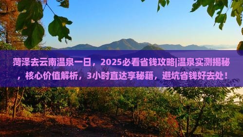 菏泽去云南温泉一日