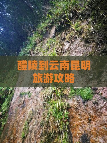 醴陵到云南昆明哪里玩