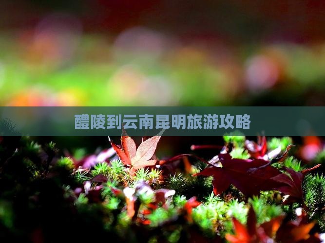 醴陵到云南昆明哪里玩
