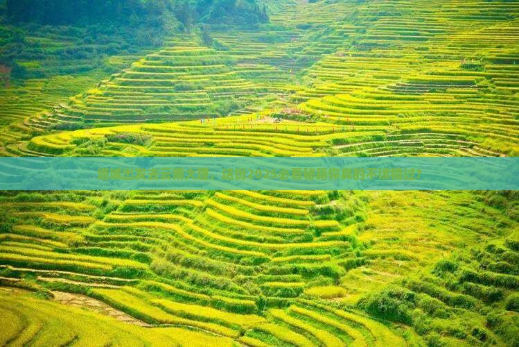 塔城去云南大理景点