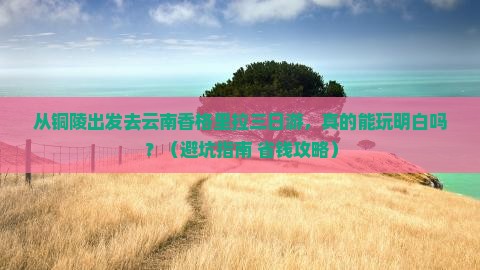 铜陵到云南香格里拉三日游