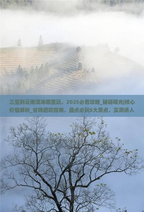 三亚到云南洱海哪里玩
