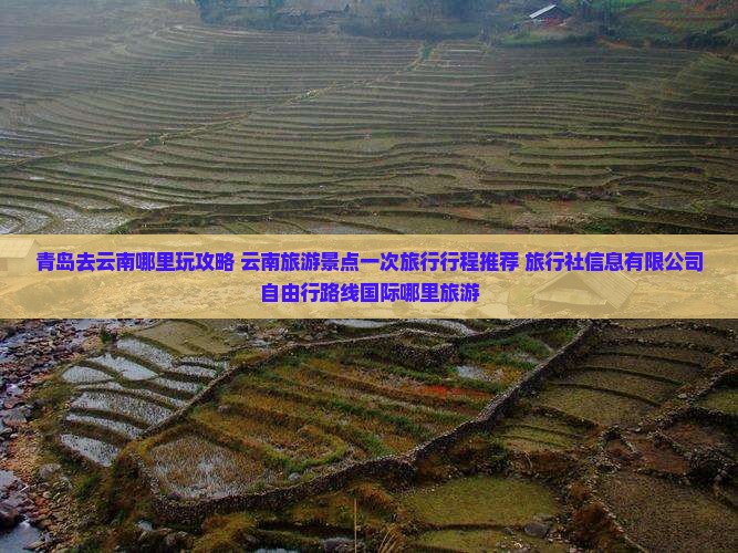 青岛去云南哪里玩