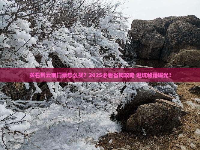 黄石到云南门票