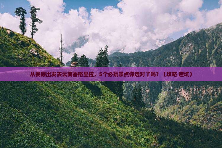 娄底去云南香格里拉哪里玩