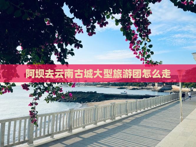 阿坝去云南古城大型旅游团