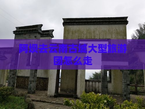 阿坝去云南古城大型旅游团