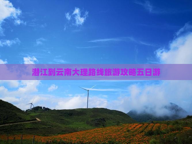 潜江到云南大理五日游