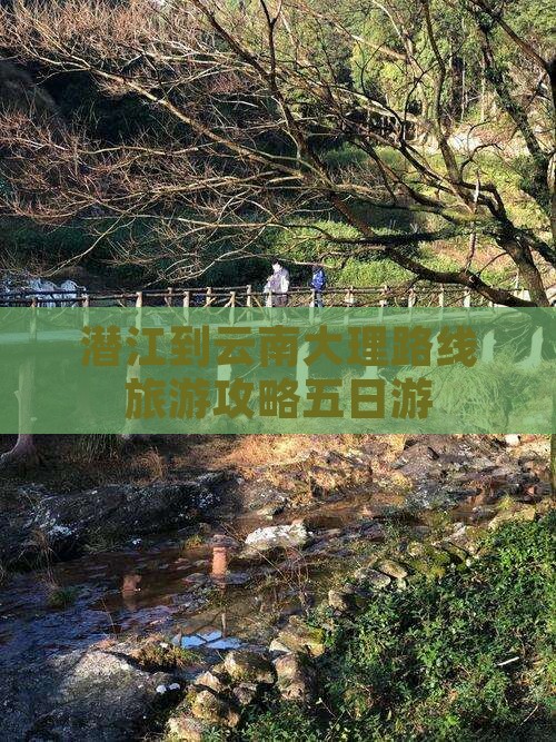 潜江到云南大理五日游