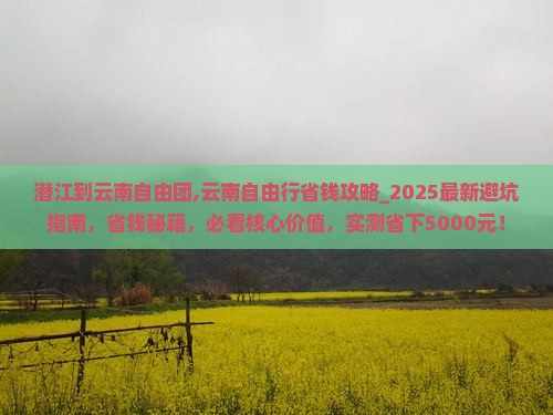 潜江到云南自由团
