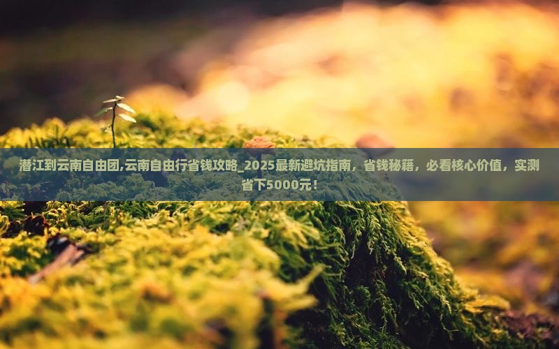 潜江到云南自由团