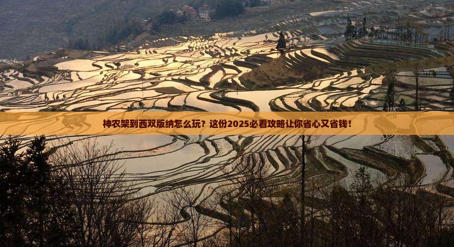 神农架去云南西双版纳旅行社