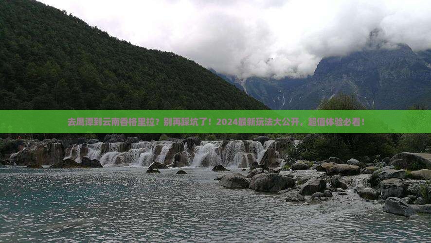 鹰潭到云南香格里拉旅行社