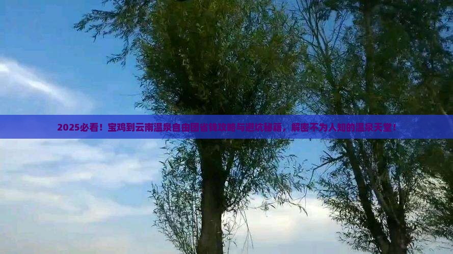 宝鸡到云南温泉自由团