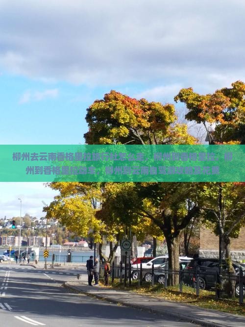 柳州去云南香格里拉旅行社