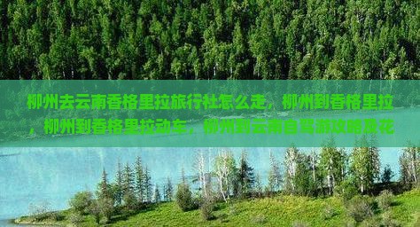 柳州去云南香格里拉旅行社