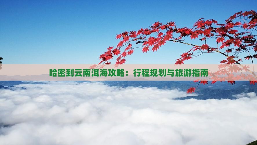 哈密到云南洱海攻略