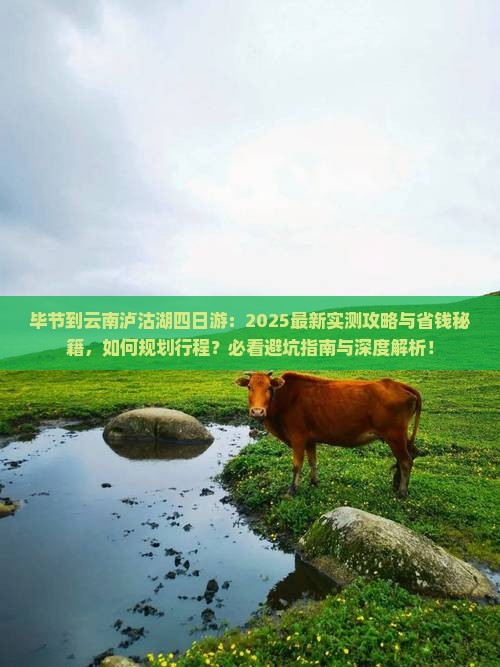 毕节到云南泸沽湖四日游