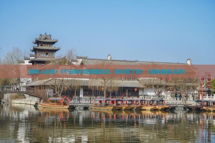 榆林去云南旅游小吃