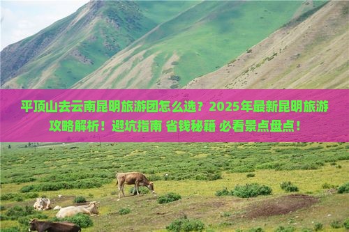 平顶山去云南昆明大型旅游团