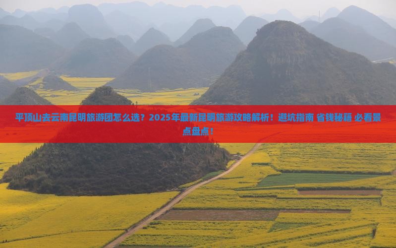 平顶山去云南昆明大型旅游团