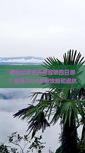 通化去云南昆明四日游