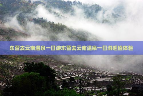 东营去云南温泉一日