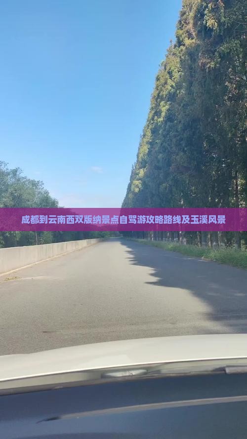 成都到云南西双版纳景点