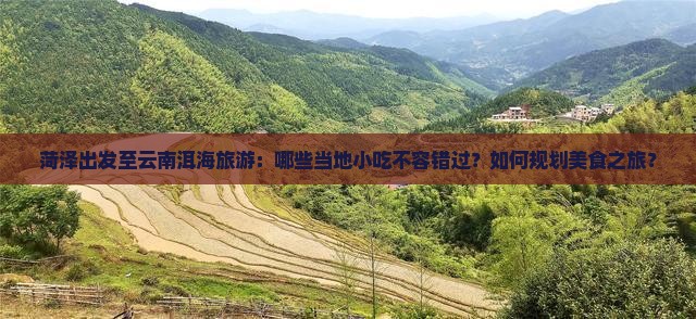 菏泽出发至云南洱海旅游：哪些当地小吃不容错过？如何规划美食之旅？