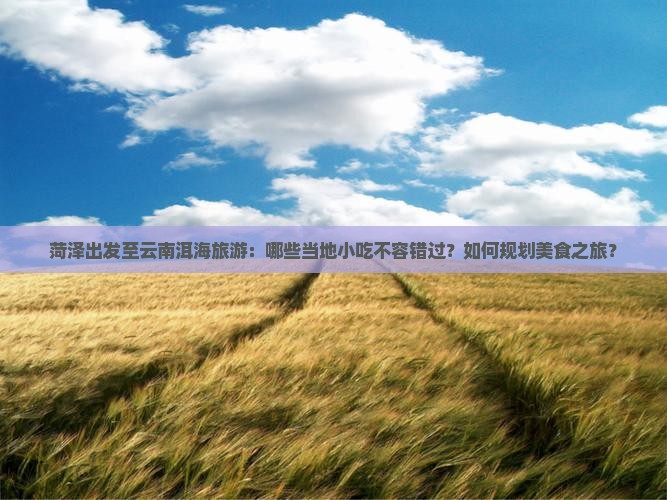 菏泽出发至云南洱海旅游：哪些当地小吃不容错过？如何规划美食之旅？