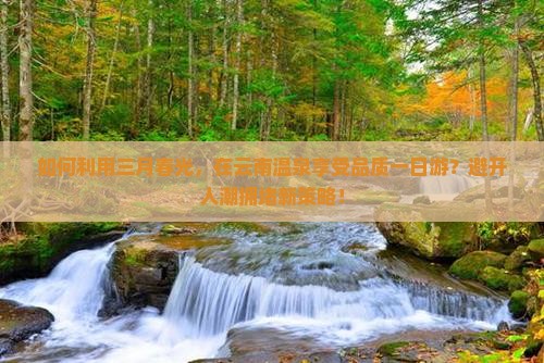 如何利用三月春光，在云南温泉享受品质一日游？避开人潮拥堵新策略！