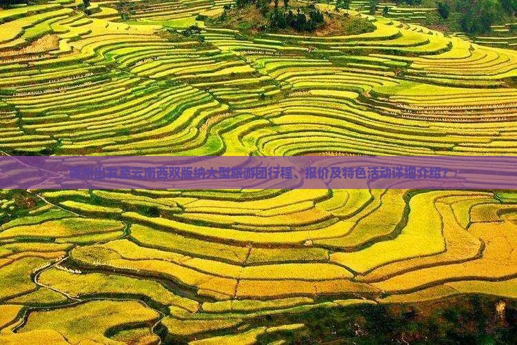 赣州出发至云南西双版纳大型旅游团行程、报价及特色活动详细介绍？
