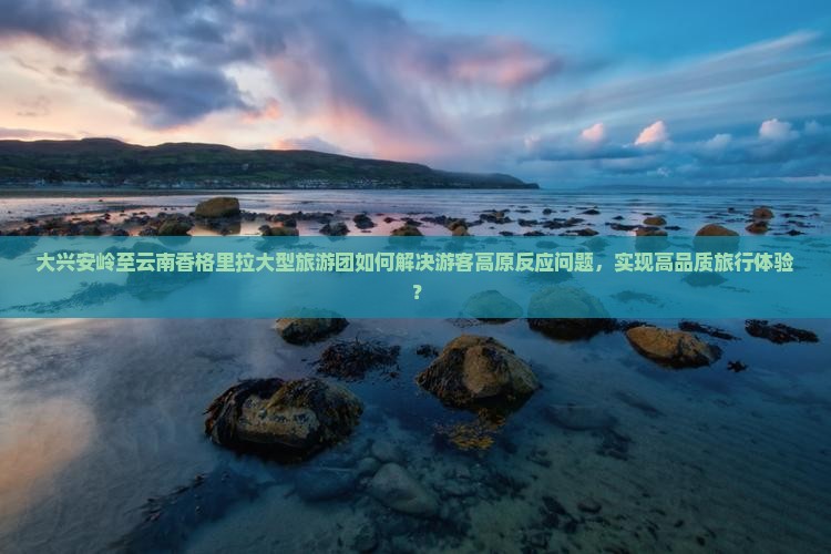 大兴安岭至云南香格里拉大型旅游团如何解决游客高原反应问题，实现高品质旅行体验？