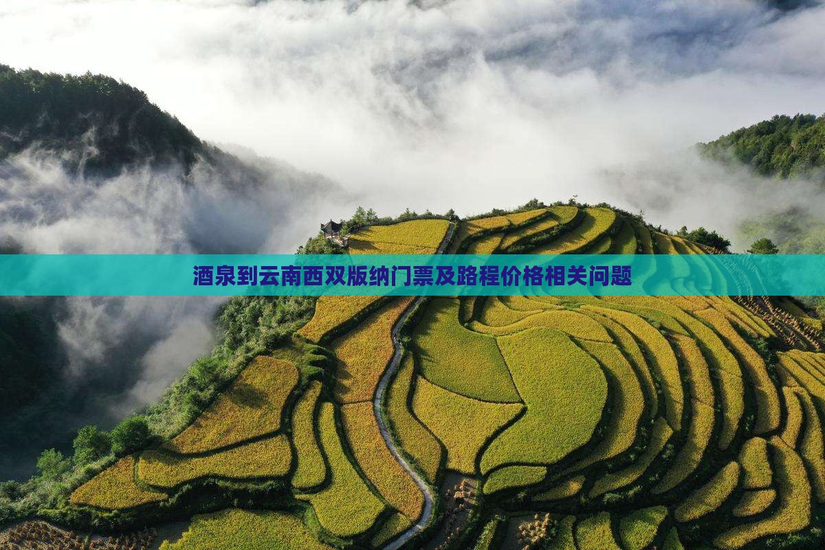酒泉到云南西双版纳门票及路程价格相关问题