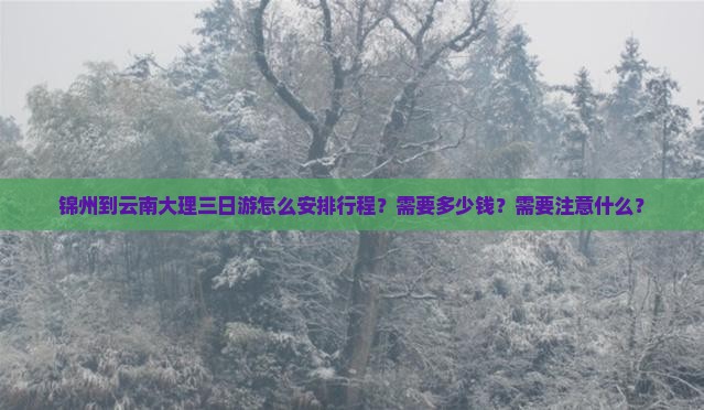 锦州到云南大理三日游怎么安排行程？需要多少钱？需要注意什么？