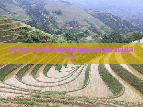 如何规划从思茅到云南昆明的自由行旅游路线及团组服务？