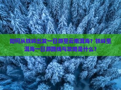 如何从铁岭出发一日游至云南洱海？铁岭至洱海一日游路线与攻略是什么？